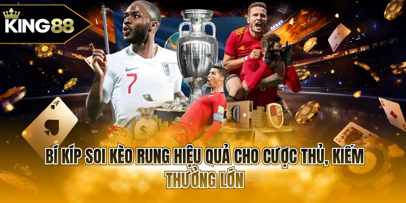 Bí kíp soi kèo rung hiệu quả cho cược thủ, kiếm thưởng lớn