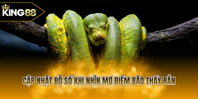 Cập nhật bộ số khi nhìn mơ điềm báo thấy rắn