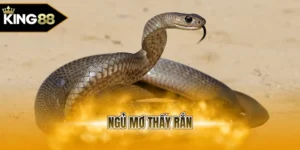 Ngủ mơ thấy rắn