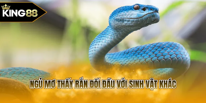 Ngủ mơ thấy rắn đối đầu với sinh vật khác